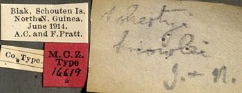 Media type: image;   Entomology 16619 Aspect: labels